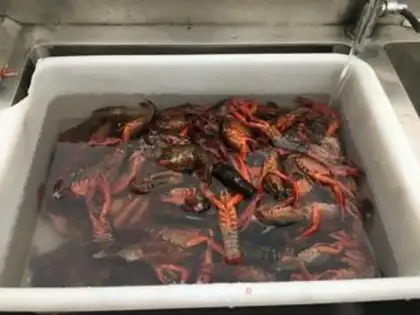 Make Garlic shrimp step 0