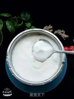 Make Homemade yogurt step 6