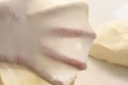 Make Milk bread step 6