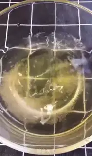 Make Double milk step 2
