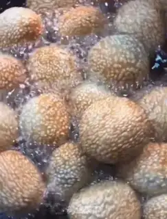 Make Sesame ball step 8