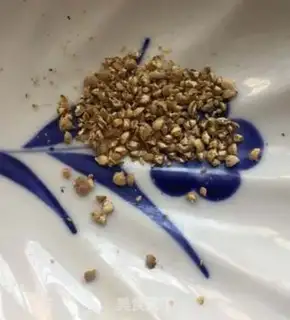Make Dragon bone radish soup step 4