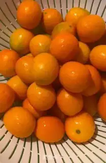 Make ♪ Orange honey ♪ step 1