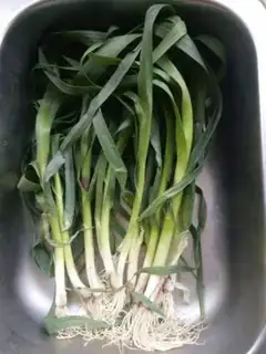 Make Scratch and garlic step 0