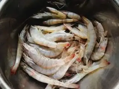 Make Spicy with back shrimp step 0