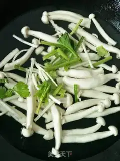 Make Red shrimp sea mushroom soup step 4