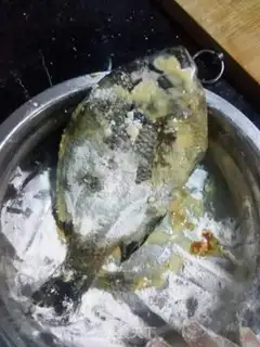 Make Red sunfish step 1