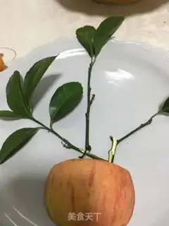 Make Orange plate step 3
