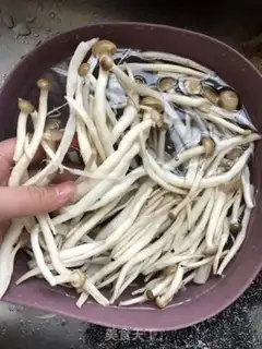 Make Chicken stew mushrooms step 0