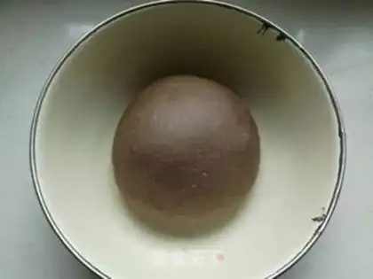 Make All-wheat cocoa-fruit bread step 4