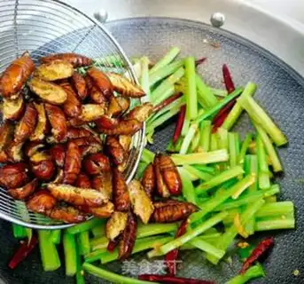 Make Dry ricin step 10