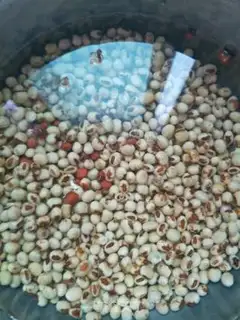Make Soybean peanut pig hoof step 3