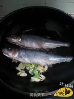 Make Beer and blue fish step 3