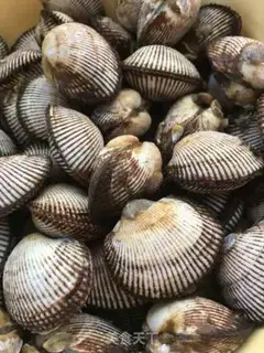 Make Sweat the clams step 0
