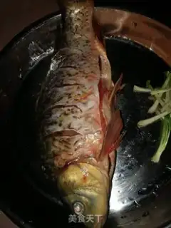 Make Carp step 0