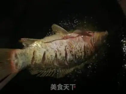 Make Carp step 1