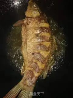 Make Carp step 2