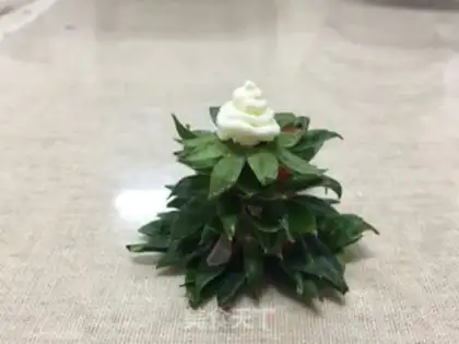 Make Santa cake step 16