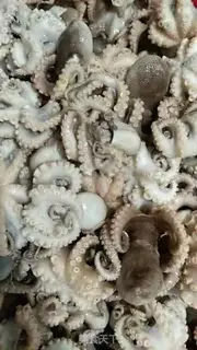 Make Spicy little seafood step 0