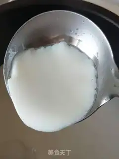 Make Tofu brain step 17