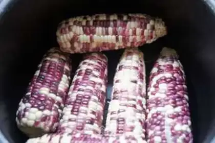 Make Cooking corn step 1