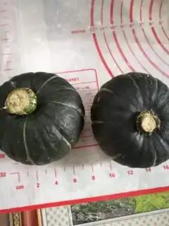 Make Pumpkin bun step 6