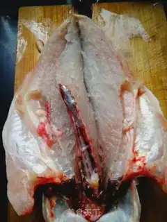 Make Piperfish step 6