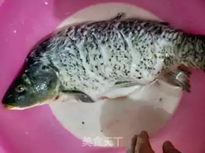 Make Jealous carp step 5