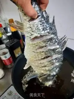 Make Jealous carp step 6