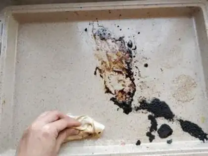 Make Christmas chicken step 12