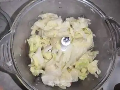 Make Pork dumplings step 3