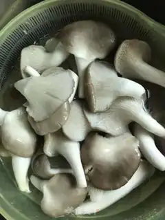 Make Pig and mushroom soup step 1