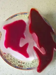 Make Creative imitation of carp frost step 7