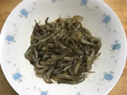 Make Shrimp step 0