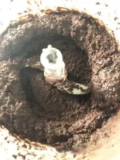 Make Bean chocolate brownie step 5