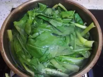 Make Organic cabbage for fans step 1