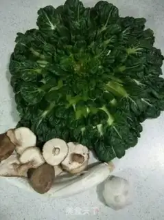Make Fry mushrooms step 0