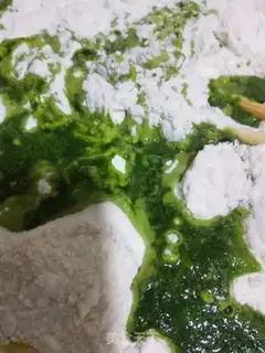 Make Spinach juice step 1
