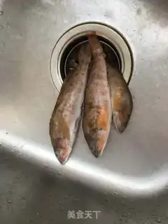 Make Wild seafish step 0