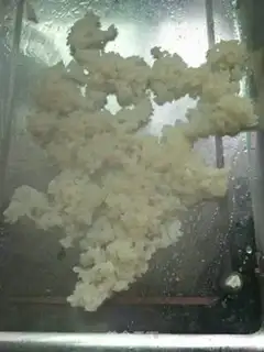 Make Sugar step 3