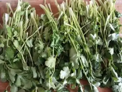 Make Sour noodles step 0
