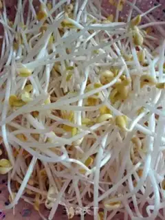 Make Pork sprouts step 1
