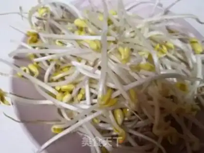 Make Tofu sprouts step 1