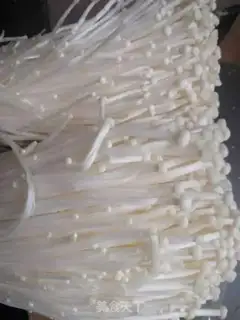 Make Blondie step 0