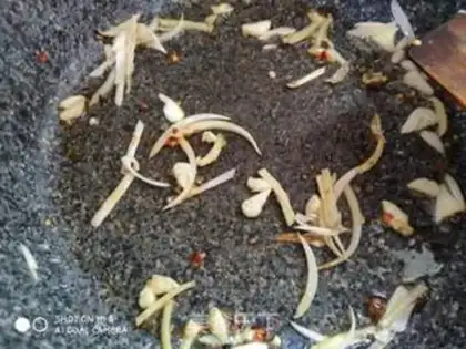 Make Red-fried fish step 8
