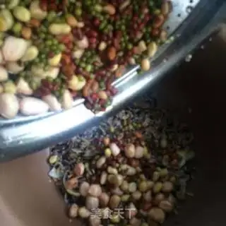 Make Lily