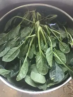 Make Lamb dumplings step 1