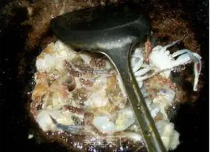 Make Crab casserole step 6
