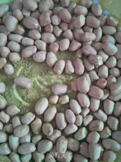 Make Fry peanuts step 1