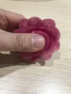 Make Radish step 20